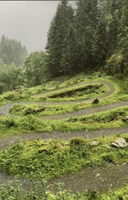 Bilete Kossdalen (Foto: Mjøsdalen IL)