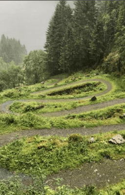 Bilete Kossdalen (Foto: Mjøsdalen IL)